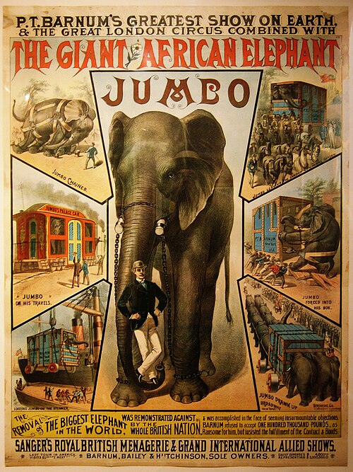 Jumbo -- African bush elephant