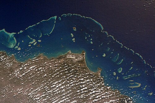 Great Barrier Reef -- Clownfish