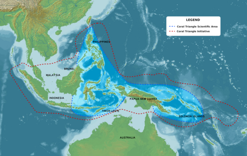 Coral Triangle trade -- Clownfish