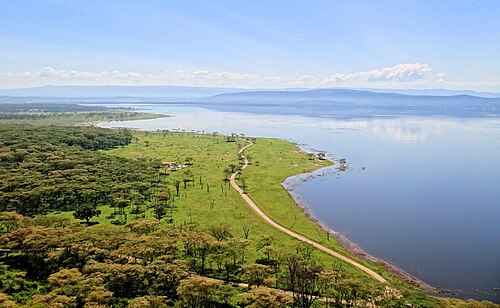 Lake Nakuru -- Flamingo
