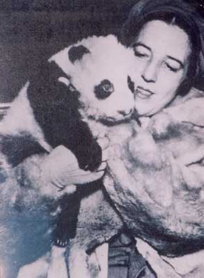 Ruth Harkness -- Giant panda
