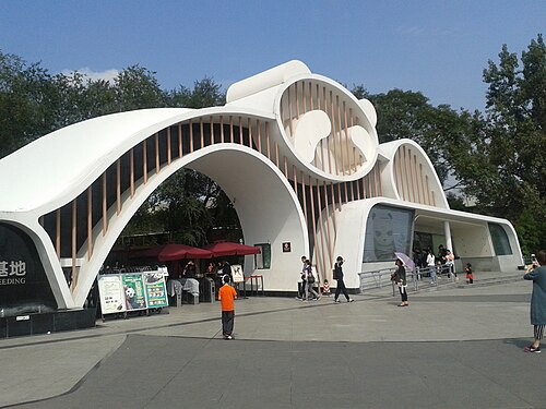 Chengdu Research Base -- Giant panda