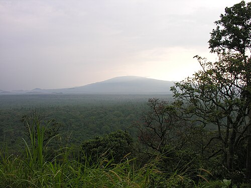 Virunga rangers -- Gorilla