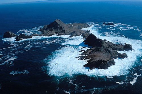Farallon Islands -- Great white shark