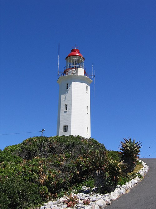 Gansbaai / Dyer Island -- Great white shark