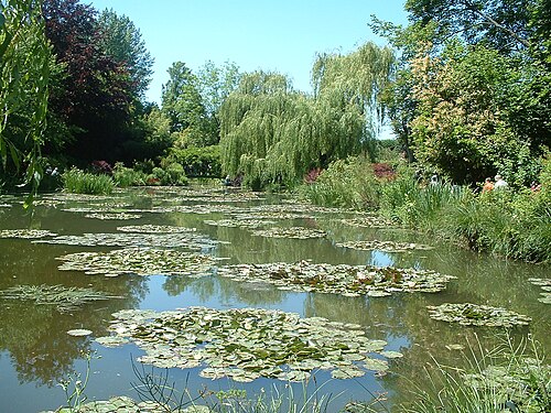 Monet Giverny pond -- Koi
