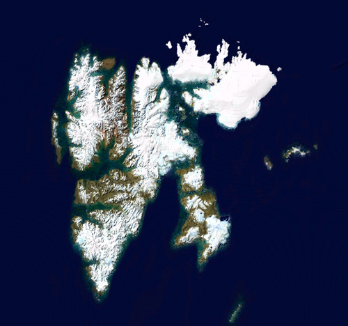 Svalbard bears -- Polar bear