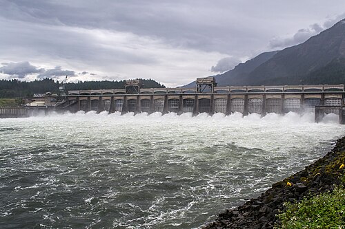 Bonneville Dam -- Salmon
