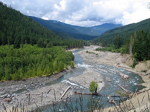 Elwha River restoration -- Salmon