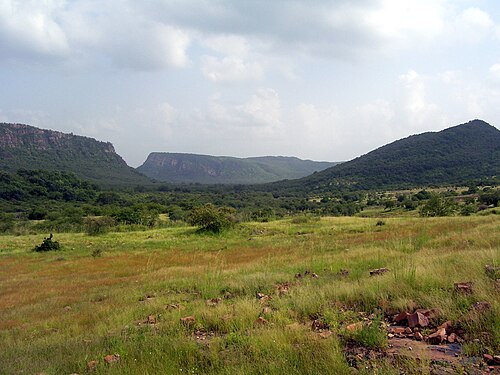 Ranthambore / Machli -- Tiger
