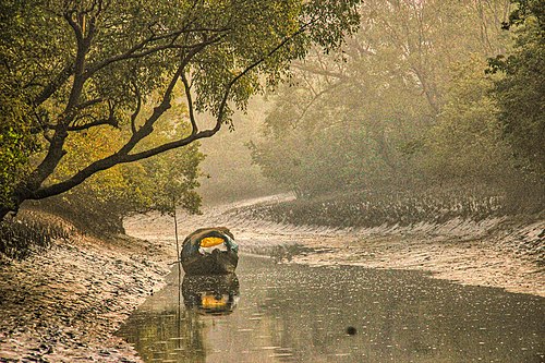 Sundarbans tigers -- Tiger