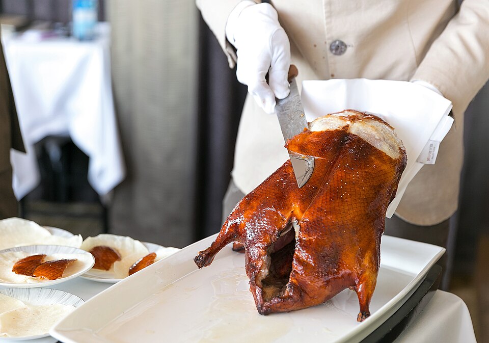 Northern banquet bird