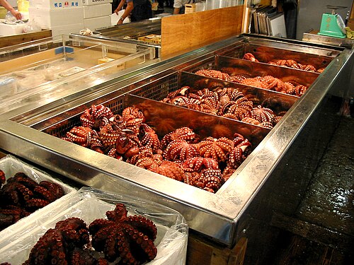 Grilled octopus from Greece