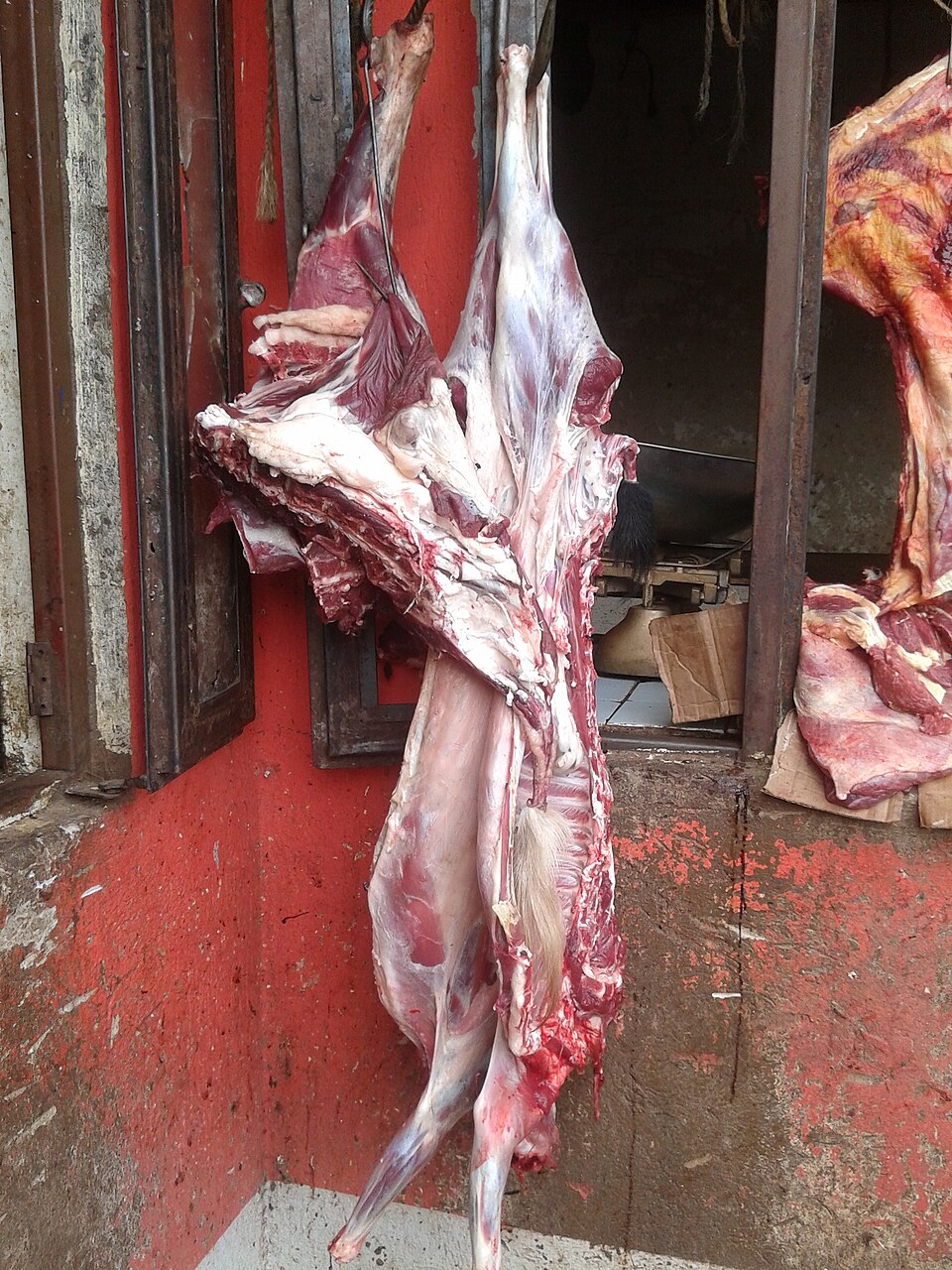 Curry goat