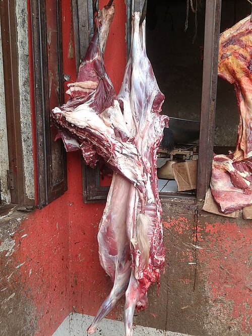 Curry goat