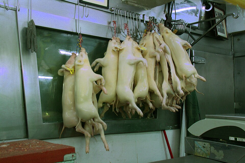 Lechon