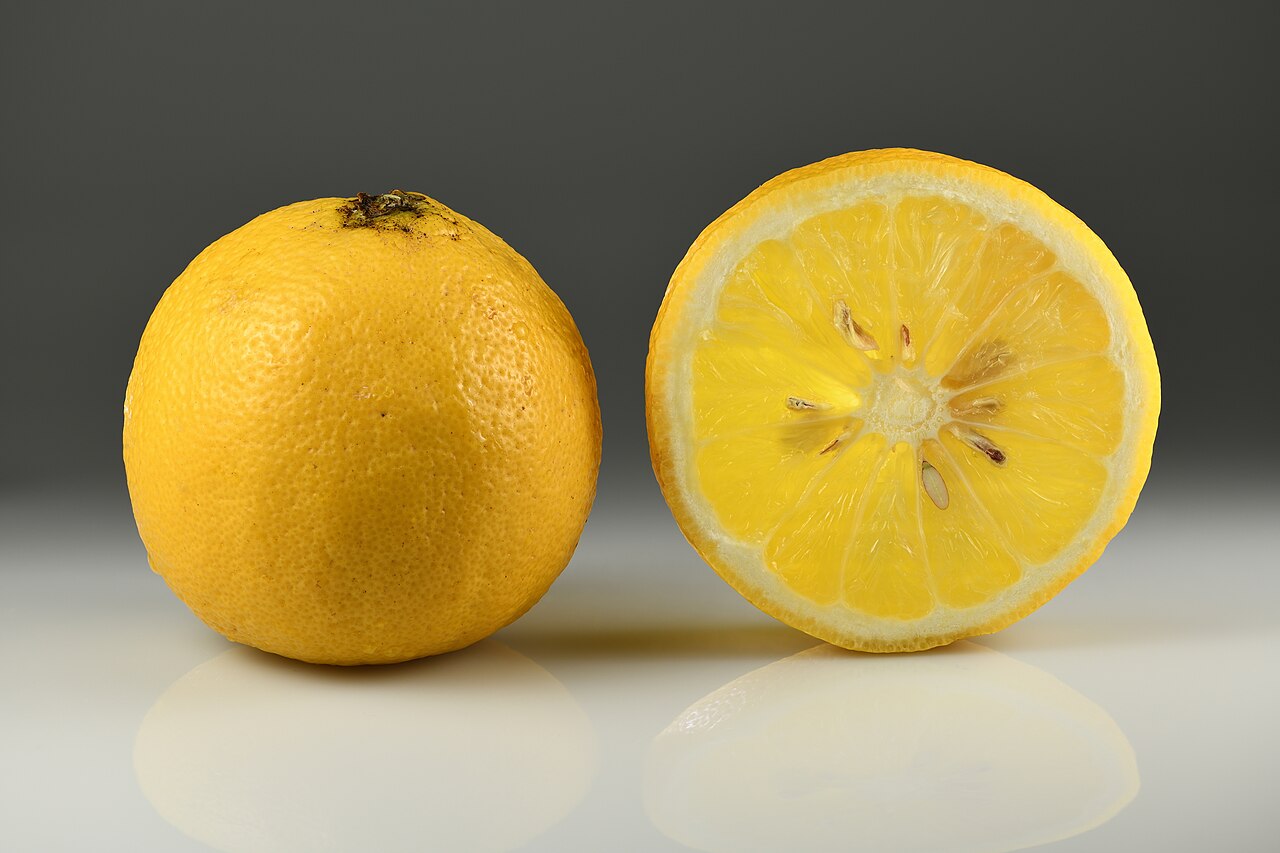 Zitrus — Bergamot orange