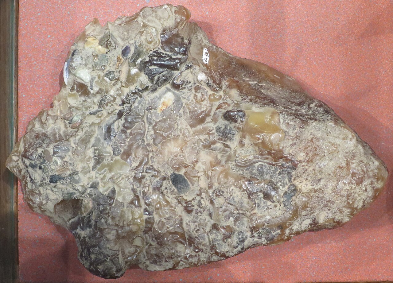 Oriental amber — Ambergris