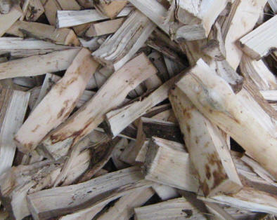Oud e incienso — Agarwood