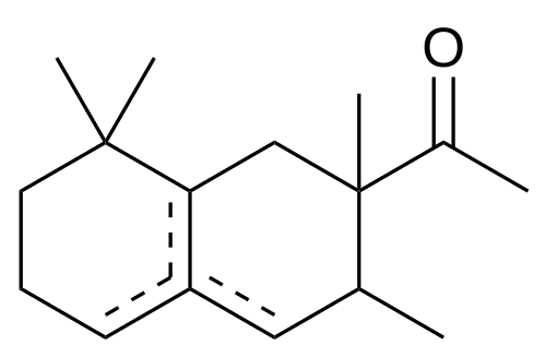 Molecule 01 — Germany