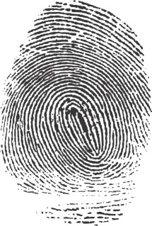 A set of classified fingerprint records, the identification method that displaced Bertillon's earlier system.