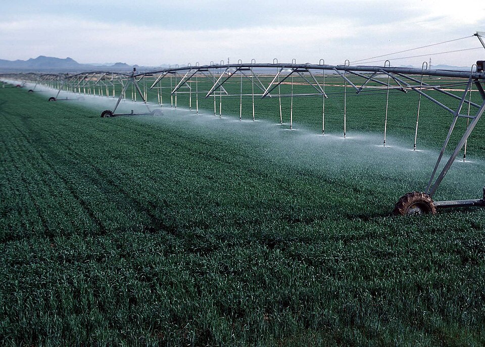 Agribusiness