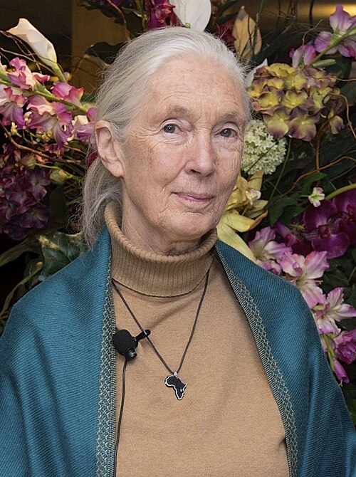 Jane Goodall