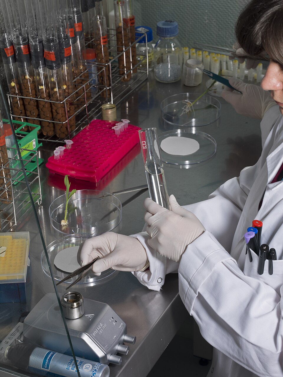 Agri-biotech