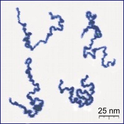 Polymers & materials