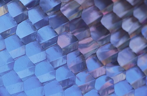 Honeycomb core