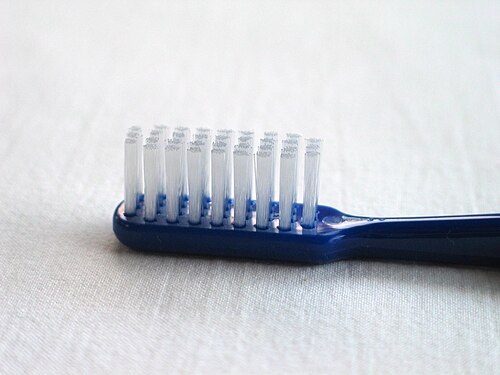 Toothbrush bristle