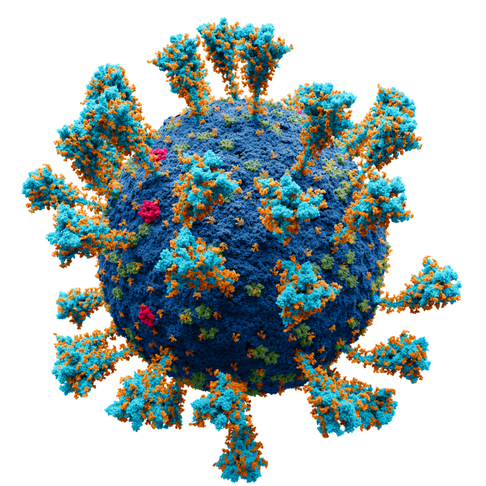 Viruses