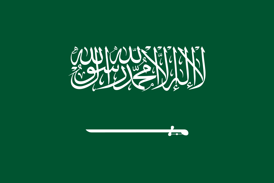 Saudi riyal — Modernisation