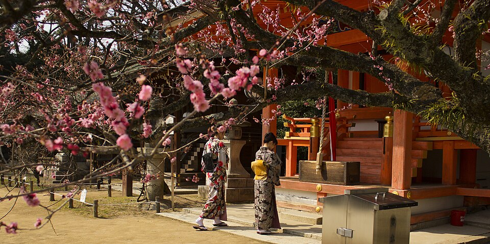 神社の鳥居