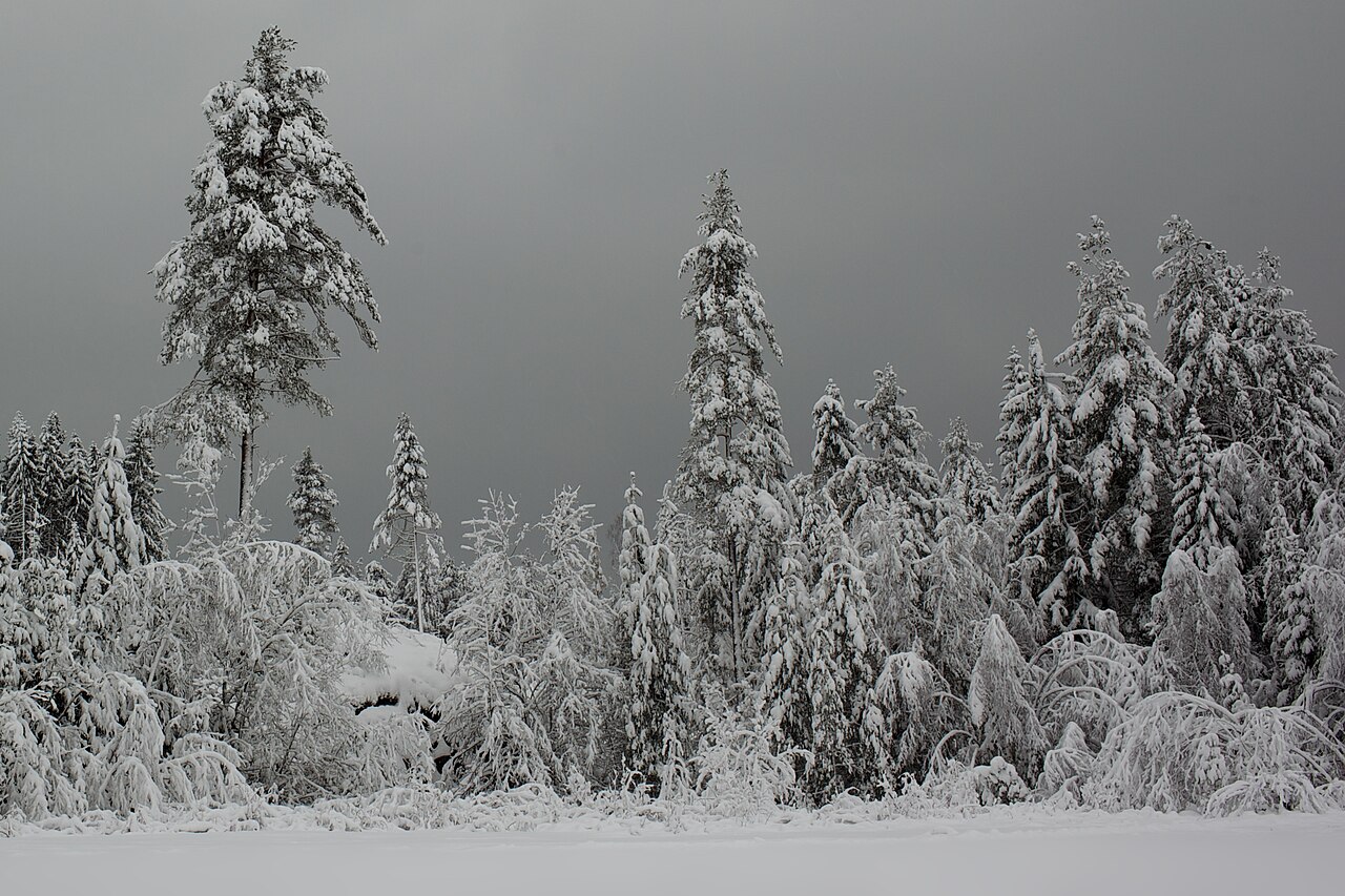 Winter