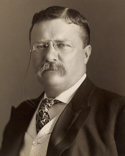 Theodore Roosevelt