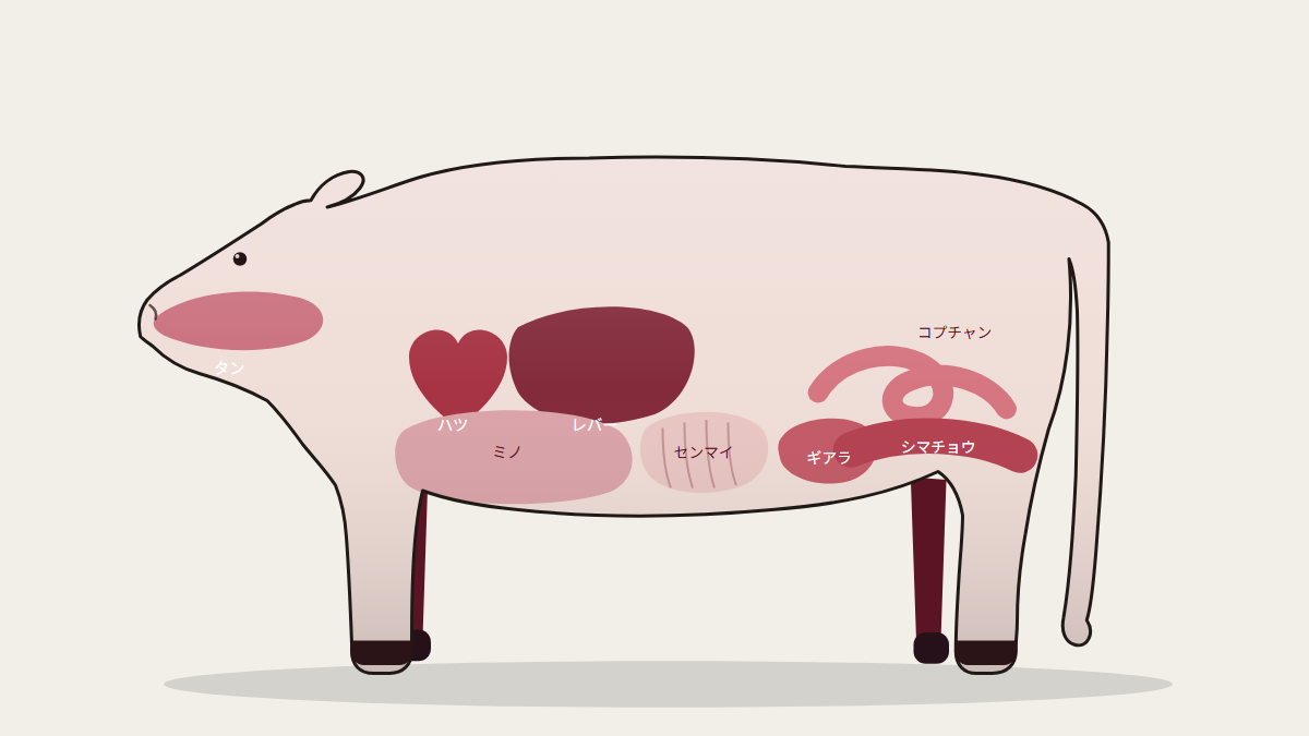 牛肉ホルモン図 — 部位図