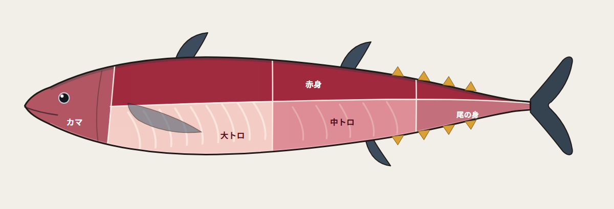 本マグロの部位 — 部位図