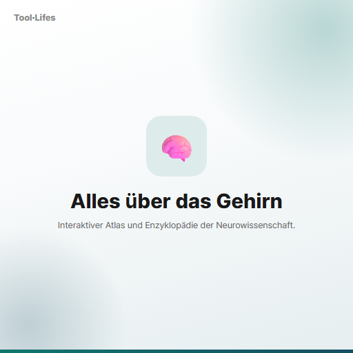 Alles über das Gehirn