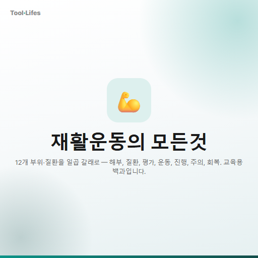 재활운동의 모든 것